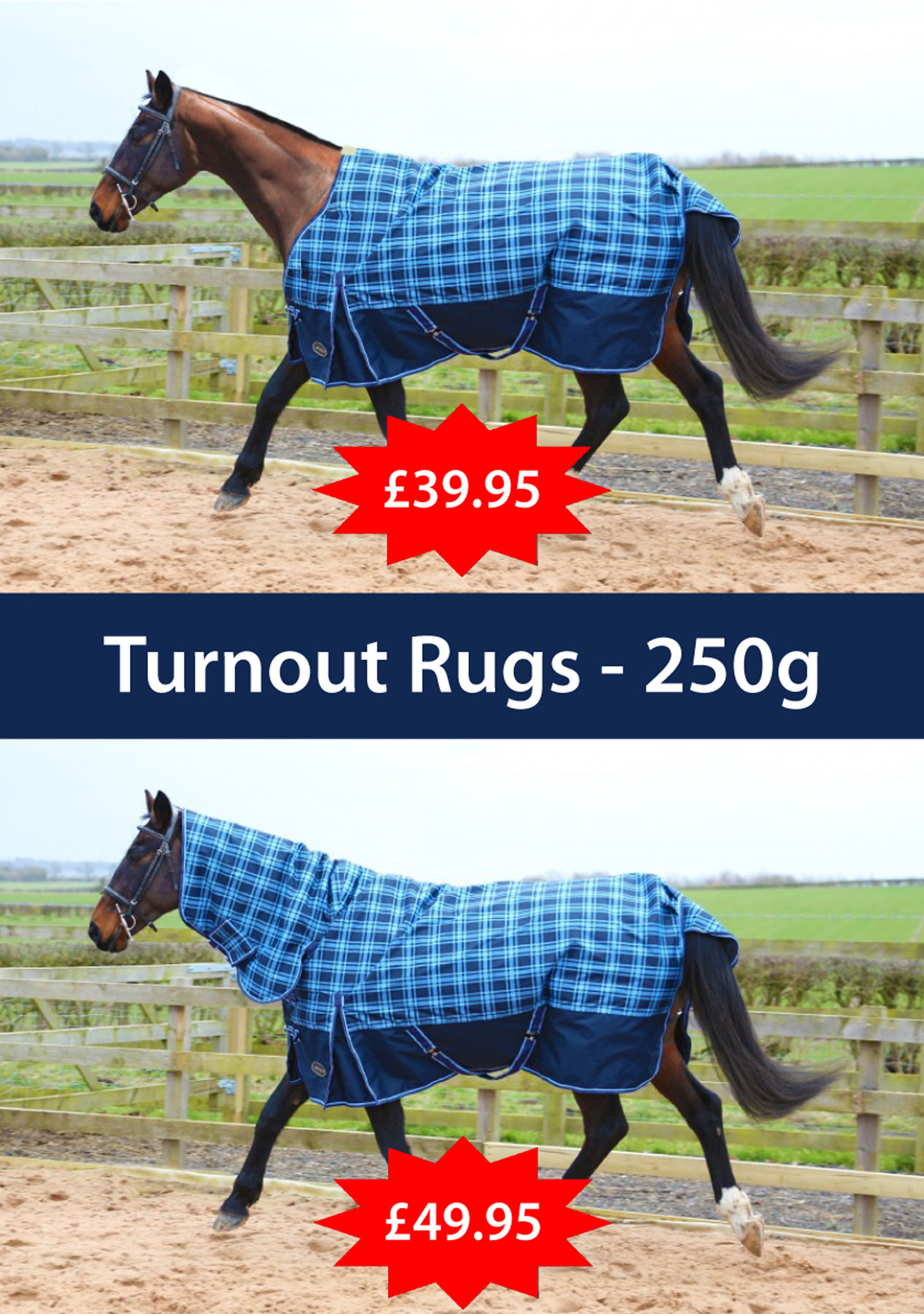 Special Offers Tower Farm Saddlers